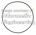 O-Ring Coperchio Valvola Rotante 116 mm per Gamma 500