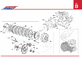 SL204 Tav. B SL204 Tav. B
