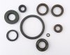 Oil Seal Kit FE202 250cc