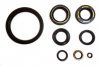 Oil Seal Kit GA210