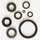 Oil Seal Kit SR216X