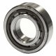 Special Roller Crankshaft Main Bearing